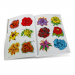 Książka: „Blumen (Flowers)”