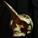 Zestaw flashy od Boris Tattoo Hungary - Skull References - karta USB, cz. 1