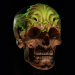 Zestaw flashy od Boris Tattoo Hungary - Skull References - karta USB, cz. 1