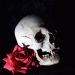Dysk USB: „Opium Tattoo Gallery – Skulls and Roses Reference”, Filip Pasieka